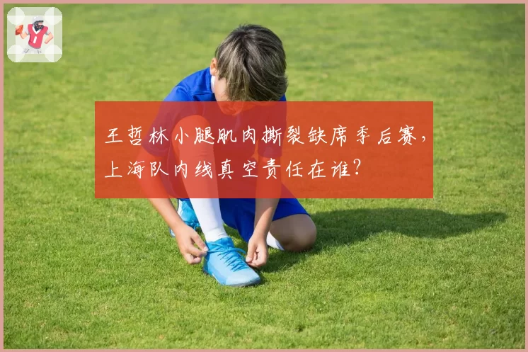 王哲林小腿肌肉撕裂缺席季后赛,上海队内线真空责任在谁?