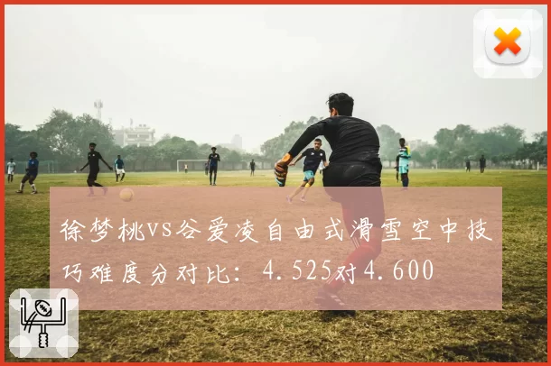 徐梦桃vs谷爱凌自由式滑雪空中技巧难度分对比:4.525对4.600