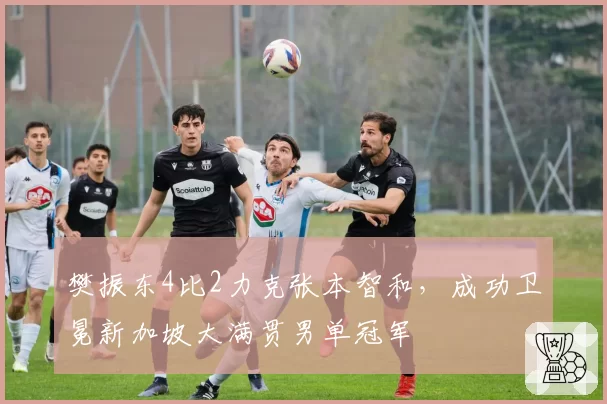 樊振东4比2力克张本智和，成功卫冕新加坡大满贯男单冠军