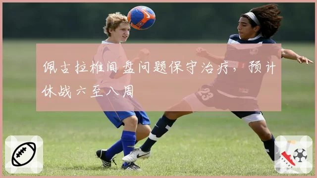 佩古拉椎间盘问题保守治疗，预计休战六至八周