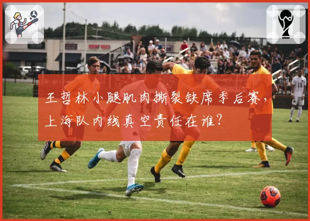 王哲林小腿肌肉撕裂缺席季后赛,上海队内线真空责任在谁?