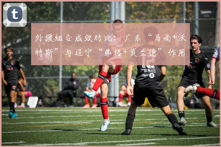 外援组合成效对比:广东“马尚+沃特斯”与辽宁“弗格+莫兰德”作用评估