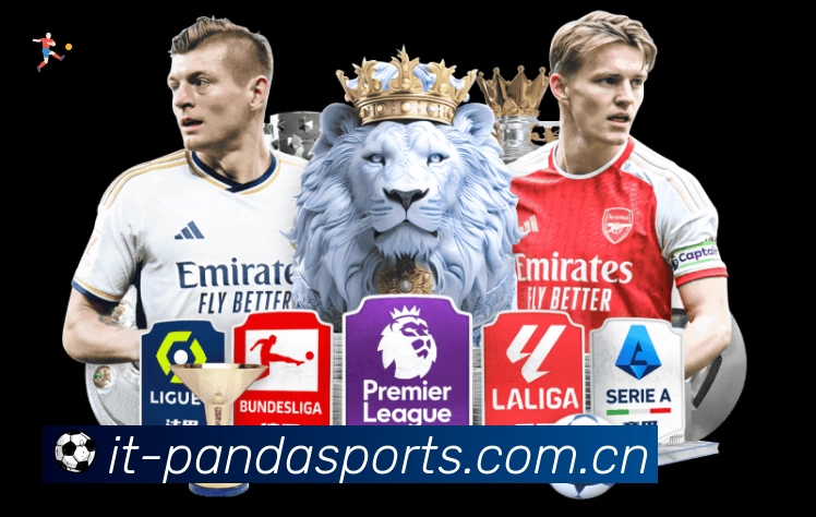 熊猫体育 背景图